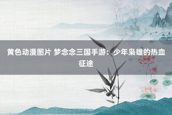 黄色动漫图片 梦念念三国手游：少年枭雄的热血征途
