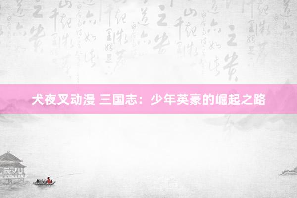 犬夜叉动漫 三国志：少年英豪的崛起之路
