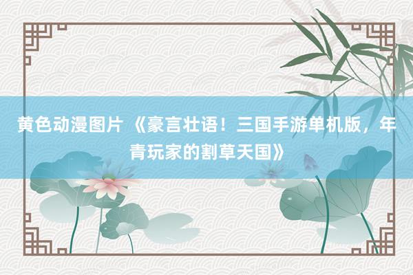 黄色动漫图片 《豪言壮语！三国手游单机版，年青玩家的割草天国》