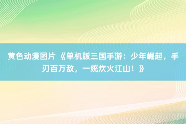 黄色动漫图片 《单机版三国手游：少年崛起，手刃百万敌，一统炊火江山！》