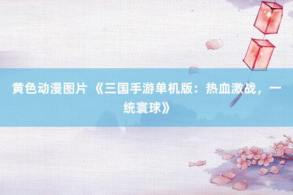 黄色动漫图片 《三国手游单机版：热血激战，一统寰球》