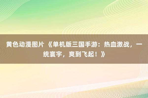 黄色动漫图片 《单机版三国手游：热血激战，一统寰宇，爽到飞起！》