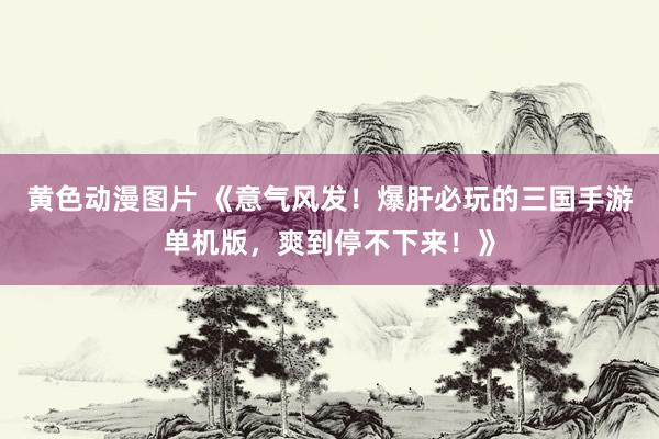 黄色动漫图片 《意气风发！爆肝必玩的三国手游单机版，爽到停不下来！》