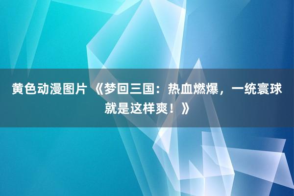 黄色动漫图片 《梦回三国：热血燃爆，一统寰球就是这样爽！》