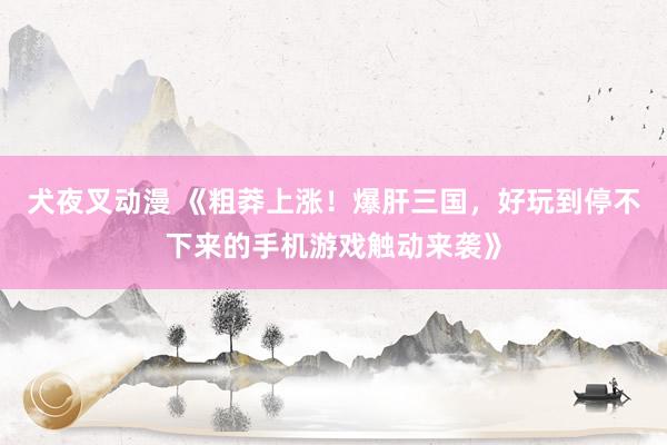 犬夜叉动漫 《粗莽上涨！爆肝三国，好玩到停不下来的手机游戏触动来袭》